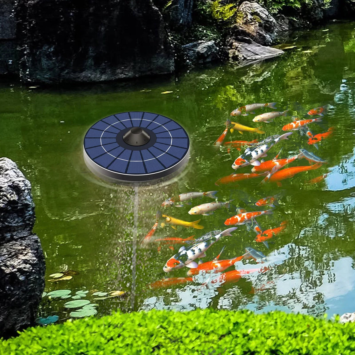 Solar Pond Aerator Pump With Air Hose and Bubble Stone Pond Aerator Fish  Oxygenator for Birdbath Fountain Small Pond Circulation