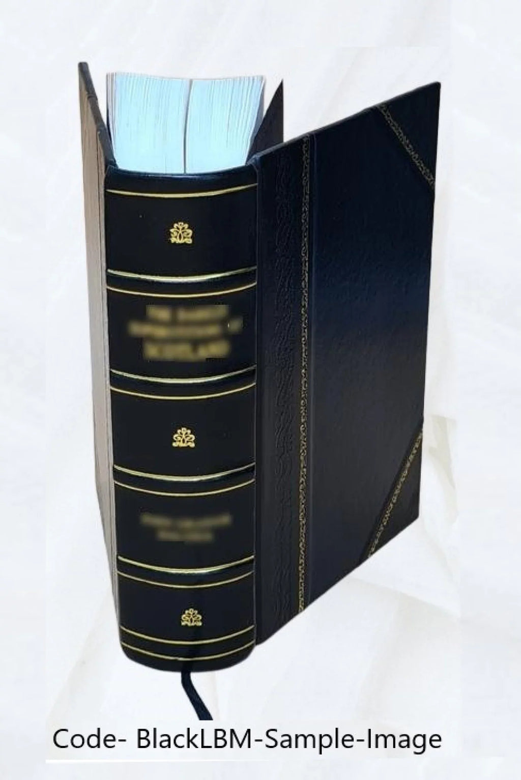 FSI - German Programmed Introduction - Student Text [Leather Bound]