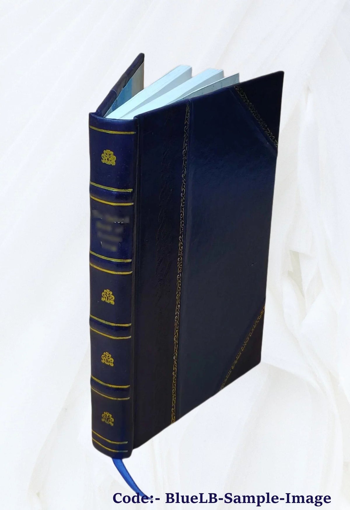 Archeological investigations at 3MR80-area D in the Rush Development Area, Buffalo National River, Arkansas / by George Sabo III ... [et al.]. Volume v. 1 9999 [Leather Bound]