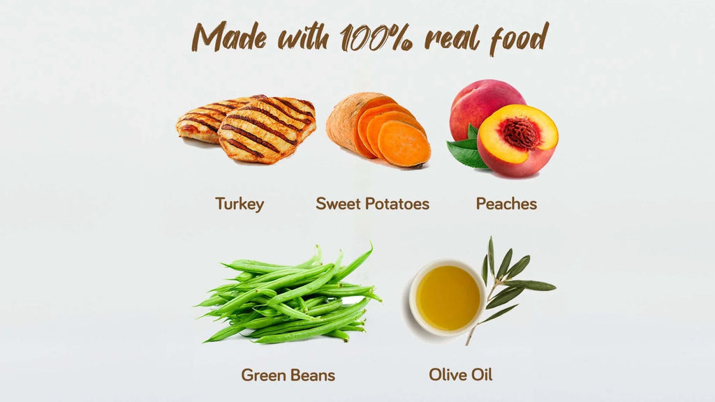 Real Food Blends - Turkey, Sweet Potatoes & Peaches - Meals for Tube Fed People - 9.4 Oz Pouch (Pack of 12)