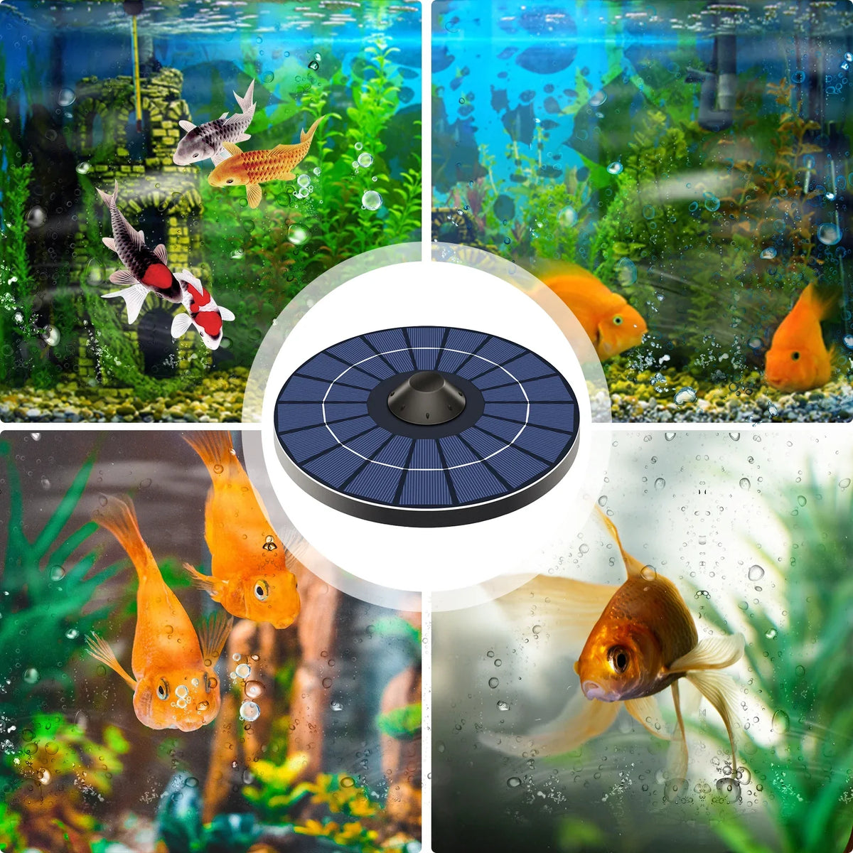 Solar Pond Aerator Pump With Air Hose and Bubble Stone Pond Aerator Fish  Oxygenator for Birdbath Fountain Small Pond Circulation