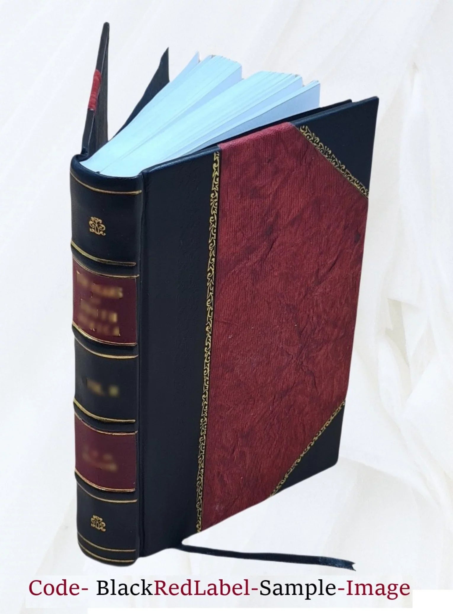 Annual message of ... , mayor of Fort Wayne, Ind. with annual reports of heads of departments of the city government for the fiscal year ending .. 1905 [Leather Bound]
