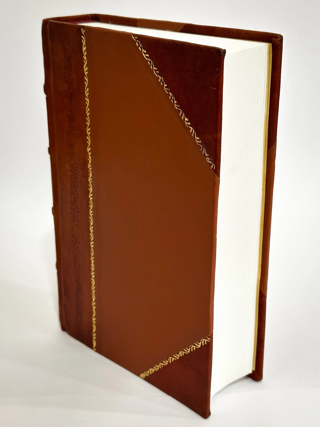 Posebna Djela , Volume 5 / Jugoslovenska Akademija Znanosti I Umjetnosti. Filologijsko-Historikski I Filozofisko-Juridicki Razred (1874) (1874) [Leather Bound]