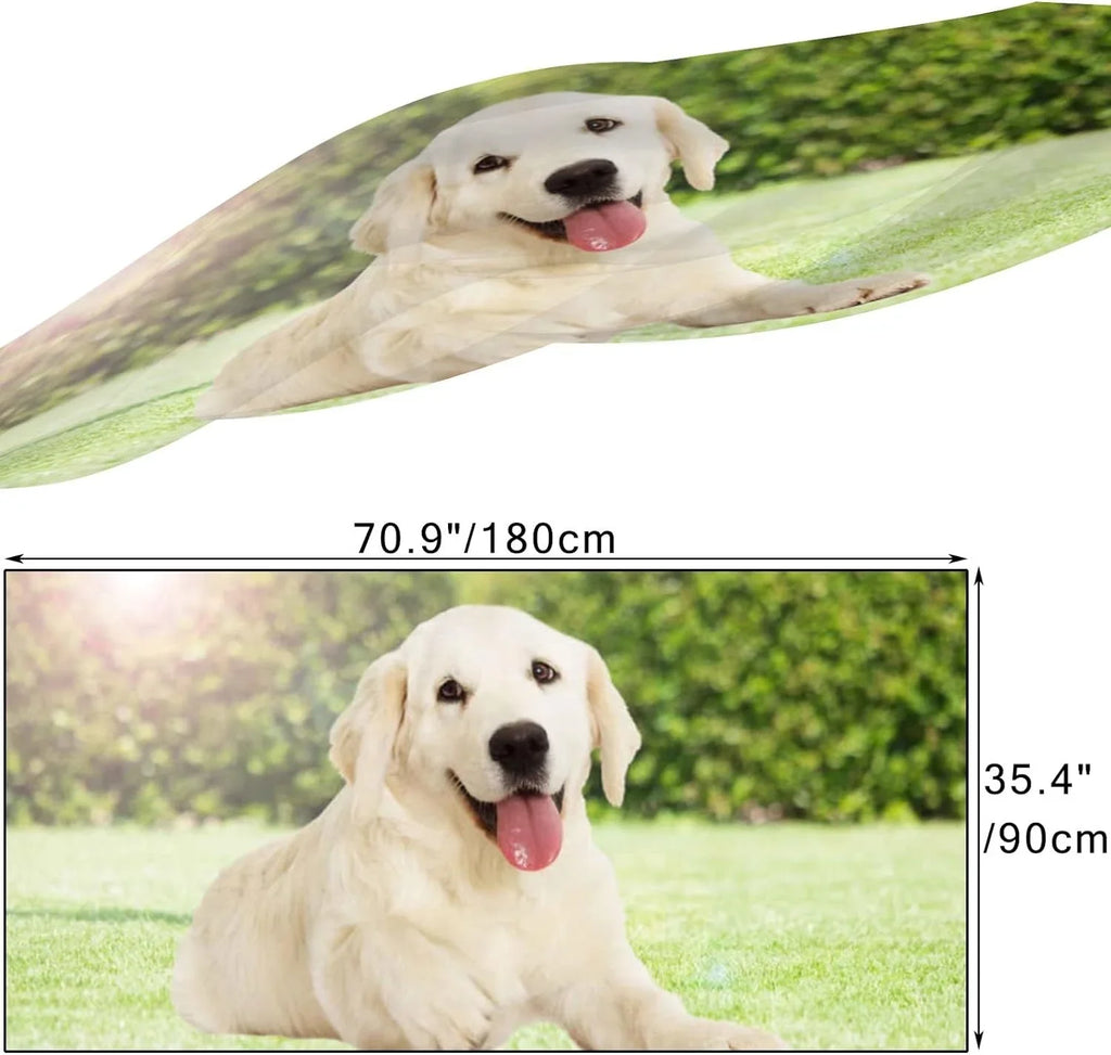 Hyjoy Golden Retriever Looking Outdoors Long Silk Neck Scarf Lightweight Shawl Wrap Scarves for Women Girls