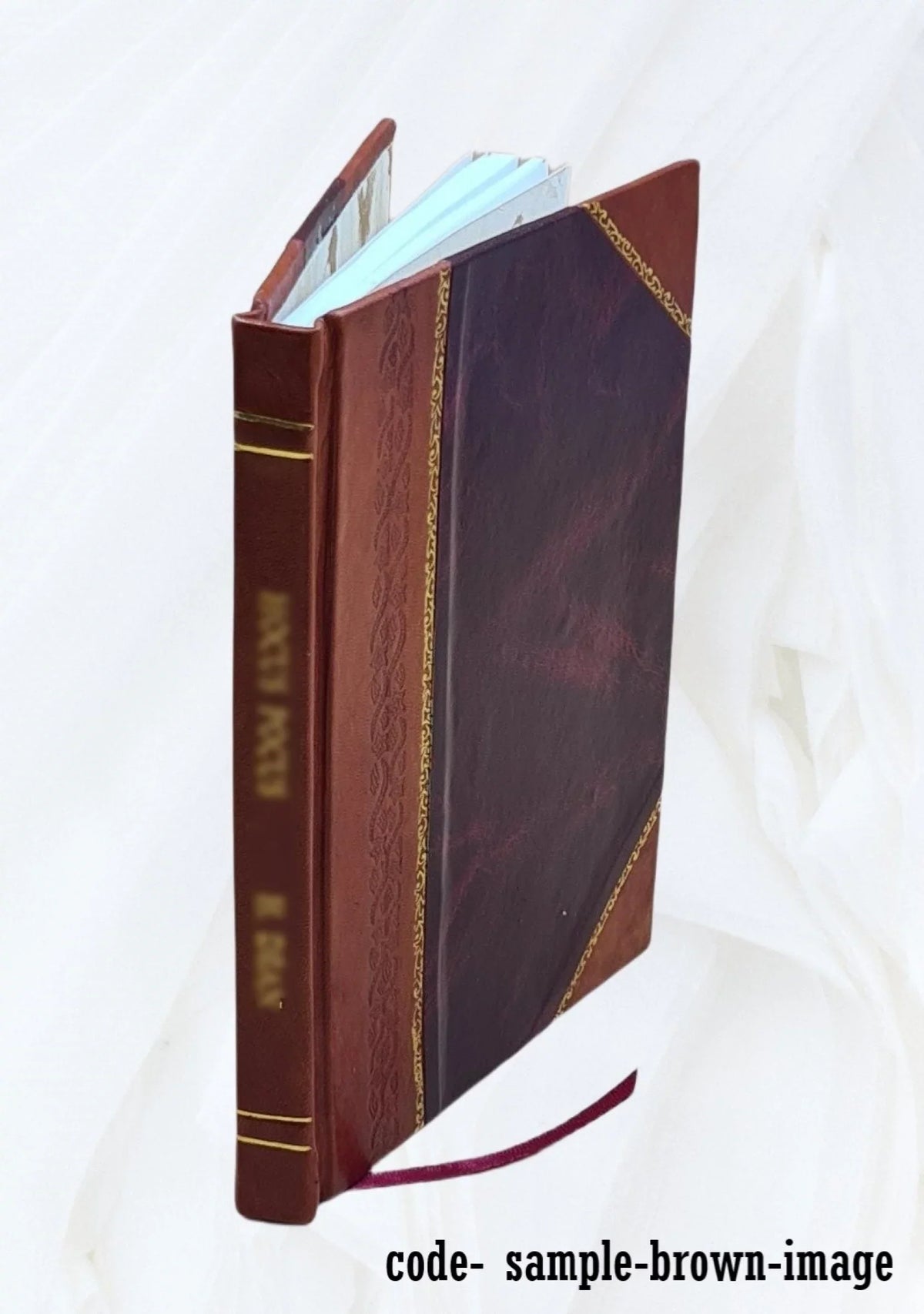 La Fenice ([Reprod.]) / di Tito Giovanni Scandianese 1555 [Leather Bound]